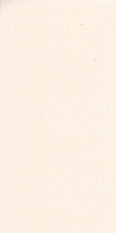 BE_111 MS