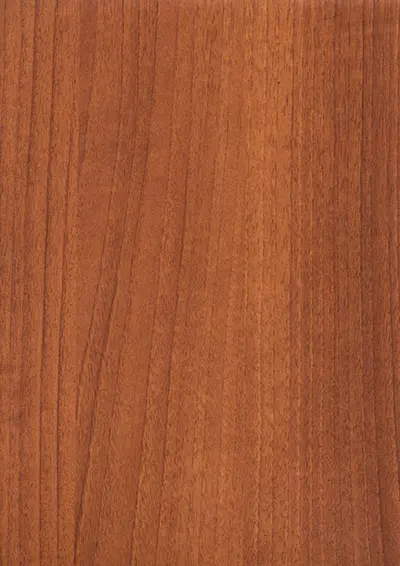 BE_316 MS