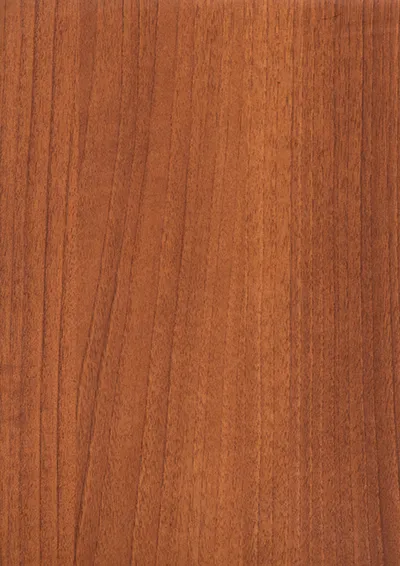 BE_316 MS