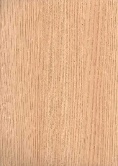 BE_335 MS