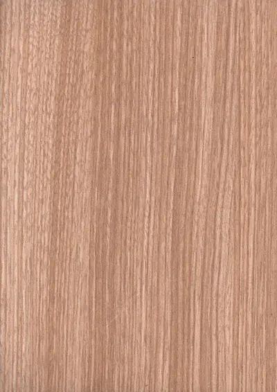 BE_341 MS