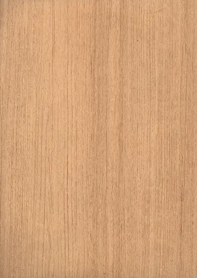 BE_351 MS