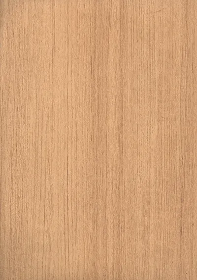 BE_351 MS