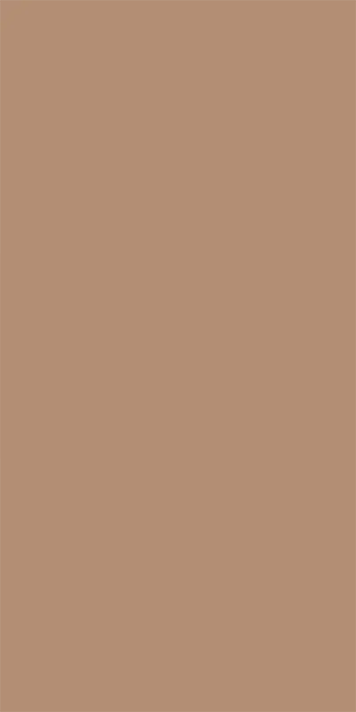 BE_925 MS