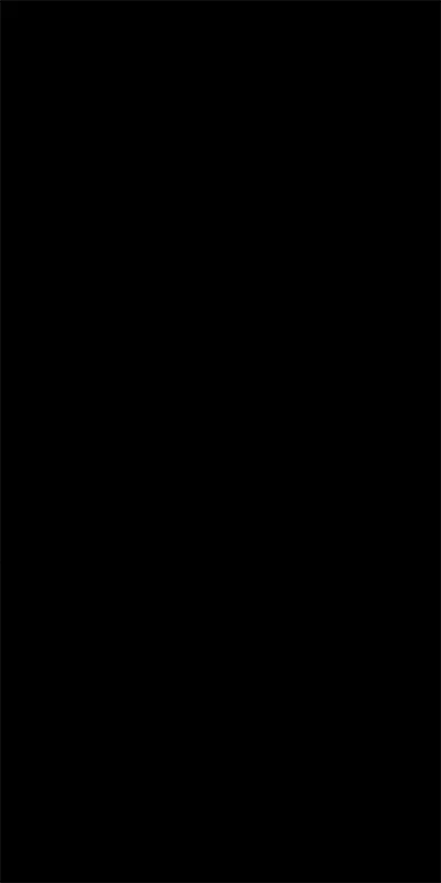 BE_999 MS